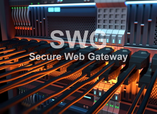 Secure web gateway 