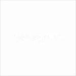 Залесский Антон