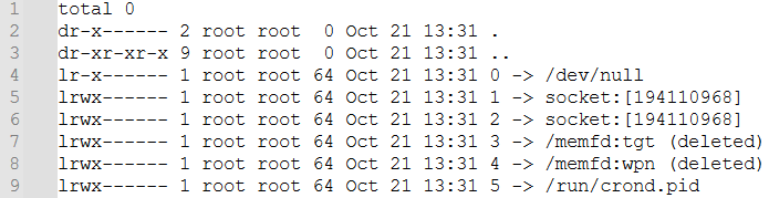 Анонимные файлы в памяти легитимного cron PID 28534 (/usr/bin/cron -f)